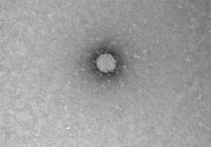 corona virus 1