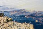ماسه‌های آغشته به لکه‌های نفتی در ساحل گناوه چه زمانی جمع‌آوری می‌شوند؟