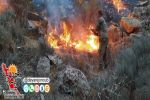 مهار آتش‌سوزی منطقه تنگ درکش بخش ارم دشتستان + تصاویر