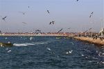 تفریحات دریایی در سواحل استان بوشهر ممنوع شد 