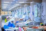 انتقال ۲۹ بیمار قلبی و تنفسی به مراکز درمانی در روزهای گرم استان بوشهر